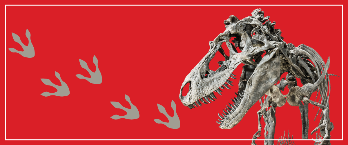 Dinosaur skeleton with three-clawed tracks on red background